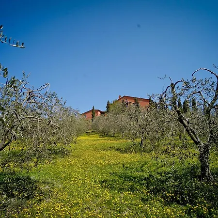 Podere Benintendi